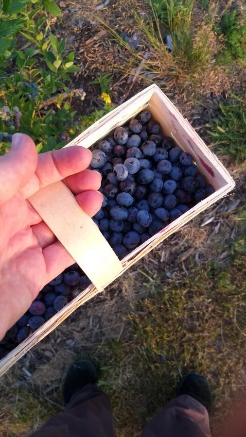 E Berry Farm - Slow Life Kaluzna Ngoại thất bức ảnh